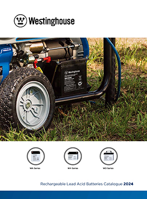 Rechargeable Lead Acid Batteries-2024