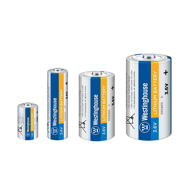 Lithium-Thionyl Chloride Battery